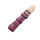 CAGARNY Simple Fashion Watches Band Silver Buckle Leather Watch Band, Width: 18mm(Purple) - 2