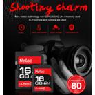 Netac P600 16GB UHS-I U1 Class10 SLR Digital Camera Memory Card SD Card - 4