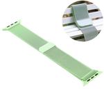 For Apple Watch Series 7 41mm / 6 & SE & 5 & 4 40mm / 3 & 2 & 1 38mm Color-changing Magnetic Nylon Watch Band(Dark Green)