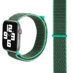 Simple Fashion Nylon Watch Band for Apple Watch Ultra 49mm&Watch Ultra 2 49mm / Series 9&8&7 45mm / SE 3&SE 2&6&SE&5&4 44mm / 3&2&1 42mm, with Magic Stick(Grass Green)