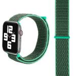 Simple Fashion Nylon Watch Band for Apple Watch Ultra 49mm&Watch Ultra 2 49mm / Series 10 46mm / 9&8&7 45mm / SE 3&SE 2&6&SE&5&4 44mm / 3&2&1 42mm, with Magic Stick(Grass Green)