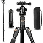 TRIOPO K2508S+B1S Adjustable Portable  Aluminum Alloy Tripod with Ball Head for SLR Camera(Gold)