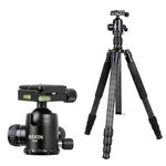 BEXIN W284C H36 Carbon Fiber Professional Photo Tripod for DSLR Camera