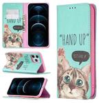 For iPhone 12 Pro Max Colored Drawing Pattern Invisible Magnetic Horizontal Flip PU Leather Case with Holder & Card Slots & Wallet(Cat)