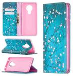 For Nokia 5.3 Colored Drawing Pattern Invisible Magnetic Horizontal Flip PU Leather Case with Holder & Card Slots & Wallet(Plum Blossom)