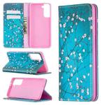For Samsung Galaxy S21 Colored Drawing Pattern Invisible Magnetic Flip Leather Case (Plum Blossom)