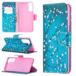 For Samsung Galaxy S21+ 5G Colored Drawing Pattern Horizontal Flip Leather Case with Holder & Card Slots & Wallet(Plum Blossom)