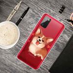 For Samsung Galaxy A02s US Version Colored Drawing Clear TPU Protective Cases(Love Corgi)