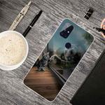 For OnePlus Nord N100 Shockproof Painted Transparent TPU Protective Case(Glass Tiger)