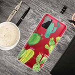 For Samsung Galaxy A02s Shockproof Painted Transparent TPU Protective Case(Cactus)