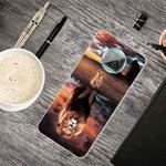 For Xiaomi Mi 10T Lite 5G Shockproof Painted Transparent TPU Protective Case(Desert Lion)