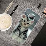 For Xiaomi Mi 10T Lite 5G Shockproof Painted Transparent TPU Protective Case(Sitting Cat)