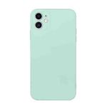 For iPhone 11 Straight Edge Solid Color TPU Shockproof Case (Light Cyan)