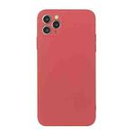 For iPhone 11 Pro Max Straight Edge Solid Color TPU Shockproof Case (Hawthorn Red)