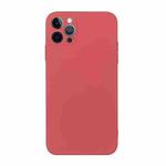 For iPhone 12 Pro Straight Edge Solid Color TPU Shockproof Case(Hawthorn Red)