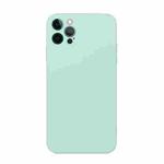 For iPhone 12 Pro Max Straight Edge Solid Color TPU Shockproof Case(Light Cyan)