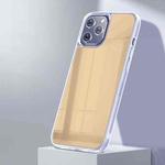 For iPhone 12 mini X-level Mirror Series TPU Silicone + Mirror Protective Case (Gold)