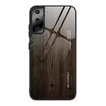 For Samsung Galaxy S21 Ultra 5G Wood Grain Glass Protective Case(M01)