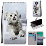 For Nokia 3.4 Coloured Drawing Cross Texture Horizontal Flip PU Leather Case with Holder & Card Slots & Wallet & Lanyard(Small Gray Cat)