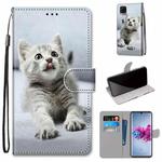 For ZTE Axon 11 5G Coloured Drawing Cross Texture Horizontal Flip PU Leather Case with Holder & Card Slots & Wallet & Lanyard(Small Gray Cat)