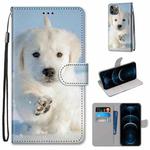 For iPhone 12 Pro Max Coloured Drawing Cross Texture Horizontal Flip PU Leather Case with Holder & Card Slots & Wallet & Lanyard(Snow Puppy)