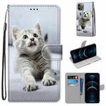 For iPhone 12 Pro Max Coloured Drawing Cross Texture Horizontal Flip PU Leather Case with Holder & Card Slots & Wallet & Lanyard(Small Gray Cat)