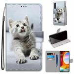 For LG Velvet Coloured Drawing Cross Texture Horizontal Flip PU Leather Case with Holder & Card Slots & Wallet & Lanyard(Small Gray Cat)