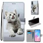 For Huawei Enjoy Z / 20 Pro Coloured Drawing Cross Texture Horizontal Flip PU Leather Case with Holder & Card Slots & Wallet & Lanyard(Small Gray Cat)