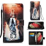 For Samsung Galaxy S21 Ultra 5G Colored Drawing Pattern Plain Weave Horizontal Flip Leather Case with Holder & Card Slot & Wallet & Lanyard(Cat Looking)