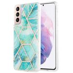 For Samsung Galaxy S21 Plus 5G 3D Electroplating Marble Pattern TPU Protective Case(Blue)