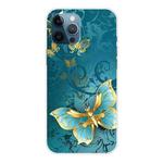 For iPhone 12 Pro Max Shockproof Painted Transparent TPU Protective Case(Kingdee)