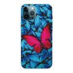 For iPhone 12 Pro Max Shockproof Painted Transparent TPU Protective Case(Big Red Butterfly)