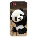 For iPhone SE 2022 / SE 2020 Shockproof Painted Transparent TPU Protective Case(Say Hello Panda)