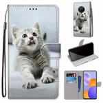 For Huawei Y9a Coloured Drawing Cross Texture Horizontal Flip PU Leather Case with Holder & Card Slots & Wallet & Lanyard(Small Gray Cat)