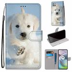 For Motorola Moto G 5G Coloured Drawing Cross Texture Horizontal Flip PU Leather Case with Holder & Card Slots & Wallet & Lanyard(Snow Puppy)