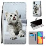 For Alcatel 1L (2021) Coloured Drawing Cross Texture Horizontal Flip PU Leather Case with Holder & Card Slots & Wallet & Lanyard(Small Gray Cat)