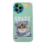 For iPhone 12 Cartoon Pattern IMD Protective Cover(Green)