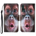 For Honor 20 Colored Drawing Pattern Horizontal Flip Leather Case with Holder & Card Slots & Wallet & Lanyard(Orangutan)