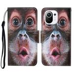 For Xiaomi Mi 11 Colored Drawing Pattern Horizontal Flip Leather Case with Holder & Card Slots & Wallet & Lanyard(Orangutan)