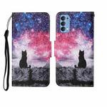 For OPPO Reno4 Painted Pattern Horizontal Flip Leathe Case(Starry Cat)