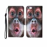 For iPhone 6 Painted Pattern Horizontal Flip Leathe Case(Orangutan)