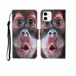 For iPhone 12 mini Painted Pattern Horizontal Flip Leathe Case(Orangutan)