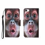 For iPhone SE (2020)/ 7 /8 Painted Pattern Horizontal Flip Leathe Case(Orangutan)