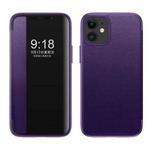 For iPhone 12 mini Magnetic Side Window View Shockproof Horizontal Flip Leather Case (Purple)