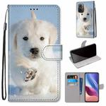 For Xiaomi Redmi K40 / K40 Pro / K40 Pro+ / Mi 11i / Poco F3 Coloured Drawing Cross Texture Horizontal Flip PU Leather Case with Holder & Card Slots & Wallet & Lanyard(Snow Puppy)