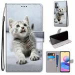 For Xiaomi Redmi Note 10 5G Coloured Drawing Cross Texture Horizontal Flip PU Leather Case with Holder & Card Slots & Wallet & Lanyard(Small Gray Cat)