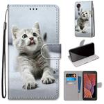 For Samsung Galaxy Xcover 5 Coloured Drawing Cross Texture Horizontal Flip PU Leather Case with Holder & Card Slots & Wallet & Lanyard(Small Gray Cat)