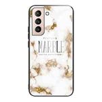 For Samsung Galaxy S21+ 5G Marble Tempered Glass Back Cover TPU Border Case(HCBL-25)