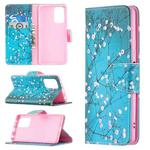 For Xiaomi Redmi Note 10 Pro Colored Drawing Pattern Horizontal Flip Leather Case with Holder & Card Slots & Wallet(Plum Blossom)