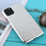 For iPhone 11 Pro Snakeskin Texture Paste Skin PC Protective Case(Silver)